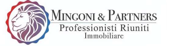 Logo Mingoni _ Partners